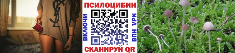 Псилоцибиновые грибы мицелий  mega ССЫЛКА  Чусовой 